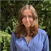 French and History GCSE tutor providing lessons to students of all ages