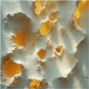 Lezioni di Discipline Plastiche e Scultoree