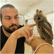 Soutien scolaire en distanciel : lycée et université