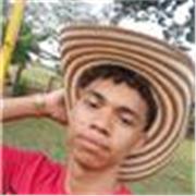 Profesor de apoyo especializado en el area de matematicas y fisica