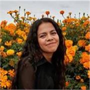 Dibujo Técnico y Bases de lectura, interpretación y creación de planos