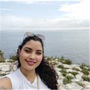 Magister en Alta dirección, experiencia en enseñanza del idioma inglés y español. Clases remotas para extranjeros 