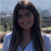 Clases particulares para Primaria