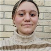 Je donne de l’aide aux devoirs pour tous les niveaux du collège. Math, français, histoire-géo…