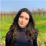 Laurea in Economia e Commercio, Laurea Magistrale in Finanza Aziendale