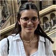 Spanish tutor providing lessons to children (all ages) and adults