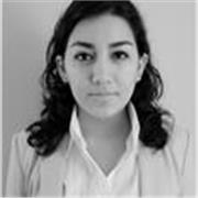 Profesor de español da clases a extranjeros