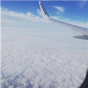 Studentessa scuola informatica offre lezione private sulla programmazione di linguaggi come Java e C, Html e Css inclusi