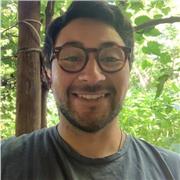 Ingeniero en construcción, especialista en Diseño y Cálculo estructural en madera