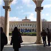 Studente universitaria disponibile per aiuto compiti di elementari e medie