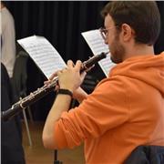 Profesor de lenguaje musical, armonía y oboe con 15 años de experiencia ofrece clases particulares para niños y adultos online