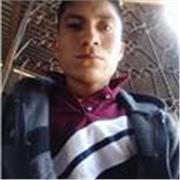 impartir clases a todos los niveles educativos