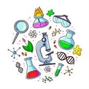 Profesora titulada de Biología licenciada en Farmacia con experiencia docente desde hace más de 5 años hasta la actualidad. 
