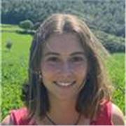 Native Spanish Tutor teaches Spanish at all levels