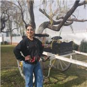 Estudiante de ingeniería, ofrezco clases de matemática para estudiantes de básica o media. También ofrezco clases de cueca o folclor en Santiago.