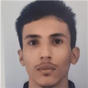I will teach the arabic and english languages