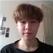 GCSE maths tutor for higher or foundation mathematics