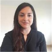 Docencia Virtual, nivel primario, medio y terciario