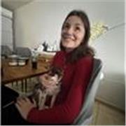 Cours de soutien scolaire (brevet) job étudiant