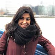 Profesor de inglés / materias bilingües para todas las edades