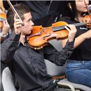 Estudiante de violín profesional Universidad Nacional ofrece clases