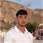 Insegnante privato disponibile per ripetizioni e aiuto compiti fino al liceo e primo anno di Ingegneria