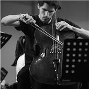 Violoncellista laureato con lode presso il conservatorio di Torino e il conservatorio di Lugano offre lezioni di violoncello