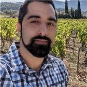 Aide en Anglais pour etudiants en langues etrangeres ou Lyceens