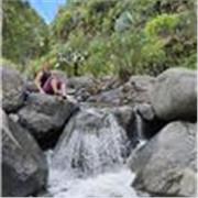 Docente de inserción laboral, administración, nóminas y seguridad social 