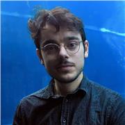 Offro lezioni private in Italiano, Inglese, Storia, Geografia, Filosofia, Cinema, Arte... In tutte le materie!