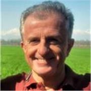 Insegnante di economia, gestione aziendale, ragioneria, statistica, principi di diritto