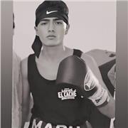 Estudiante de cultura física y deporte, con 8 años de experiencia real cómo peleador amateur, y 5 años como entrenador.🥊
