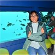 Child English, Communication and IELTS