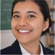 Profesor de apoyo en lengua castellana, lectoescritura, ortografía y argumentación