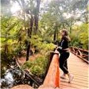 Sono laureata in Giurisprudenza e mi dedico con passione alla spiegazione dei contenuti del diritto