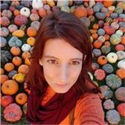 Insegnante con laurea magistrale in Scienze della Formazione primaria