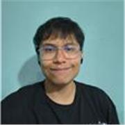 Profesor/a de Inglés Online para principiantes e intermedios