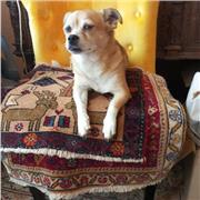 Biete Nachhilfe im Fach Chemie (alle Klassen) bei mir Zuhause. Bin promov. Lebensmittelchemikerin