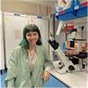 Estudiante de Biología Sanitaria en cuarto año. Experiencia dando clases de matemáticas ESO. 
Cuento con becas de investigacion.
