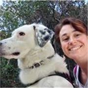 Ripetizioni e lezioni di Inglese da remoto