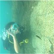 Lezioni di lingua presenziali, francese e inglese, per ragazzi