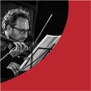 Maestro di Violino con esperienza pluriennale impartisce lezioni in presenza