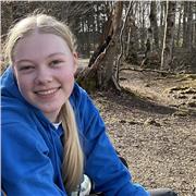 Ich biete Nachhilfe in Mathe (3.-10. Klasse)