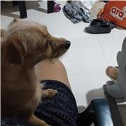 Clases particulares de lengua castellana y literatura para niños de preescolar y primaría