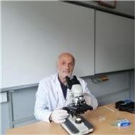 Ihsan Hoca