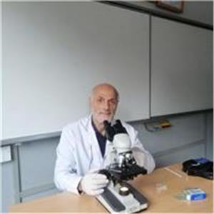 İhsan Hoca