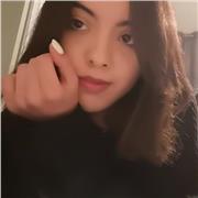 Doposcuola per elementari e medie, (storia dell'arte, storia, letteratura, geografia) +filosofia, disegno tecnico e artistico, per istituti superiori