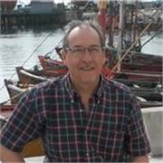 Profesor Modalidad Online- Nivel Secundario/Terciario/Universitario