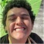 Profesor de apoyo general (varias materias), modalidad online o presencial