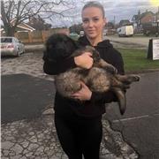 I am a young enthusiastic nurse by trade however, would love to help students become fluent in English in my spare time.